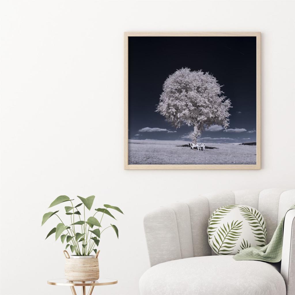 The Negative Tree im Rahmen