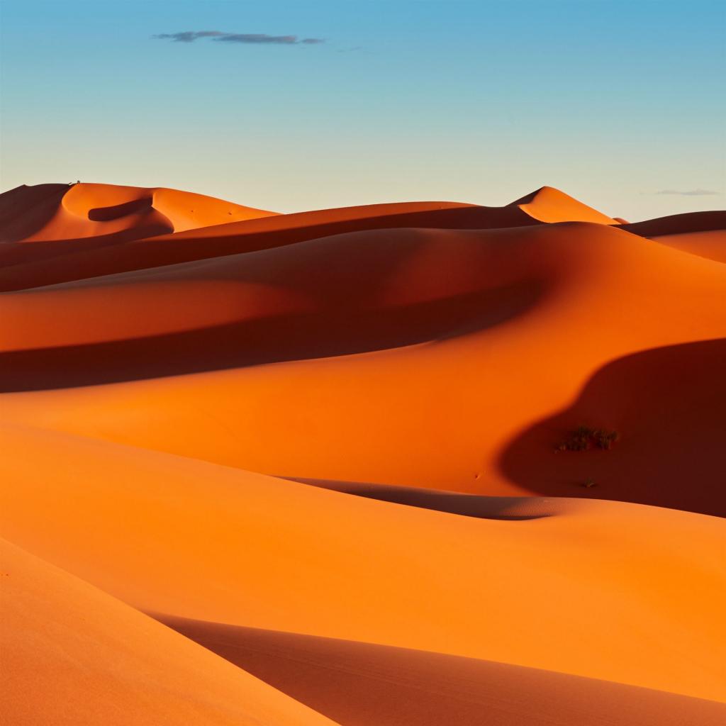 The Red Planet Earth
