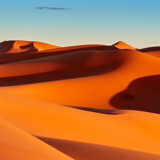 The Red Planet Earth